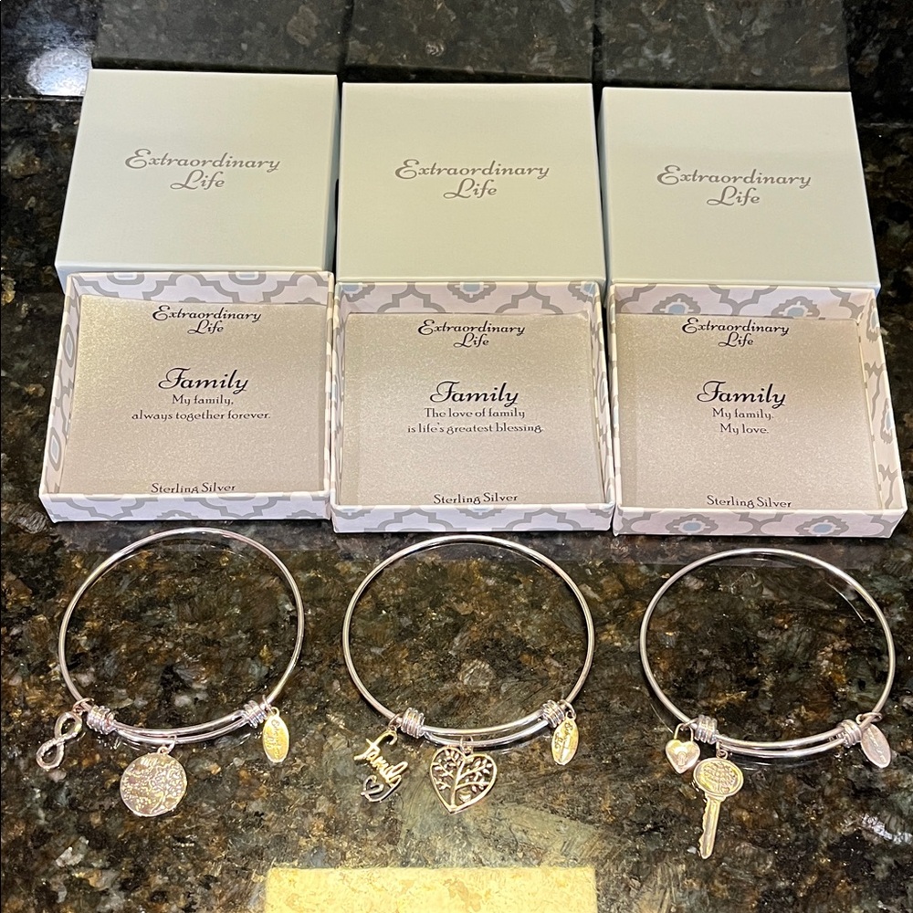 Extraordinary Life Sterling Silver Charm Bracelets